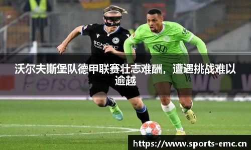 emc易倍体育官网