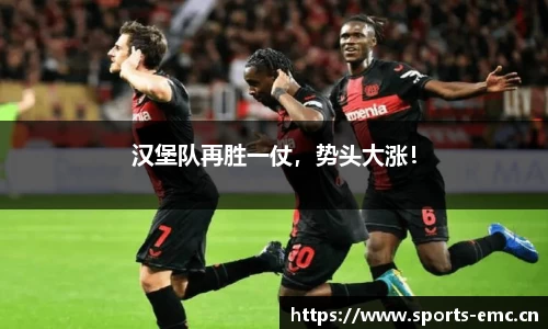 emc易倍体育官网