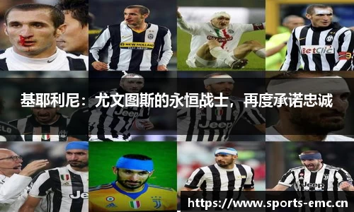 emc易倍体育