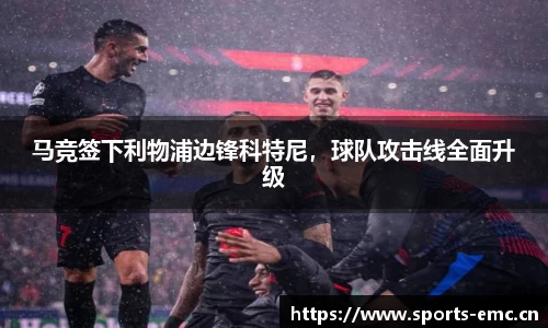 emc易倍体育平台