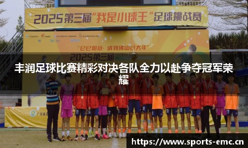 emc易倍体育官网